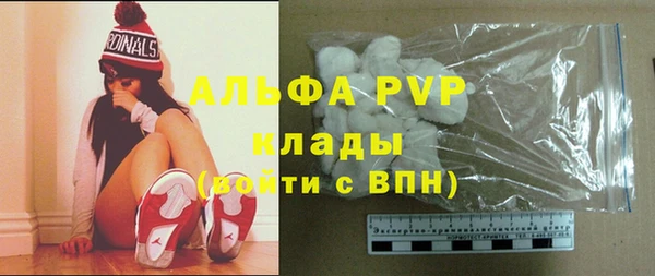 твердый Арсеньев
