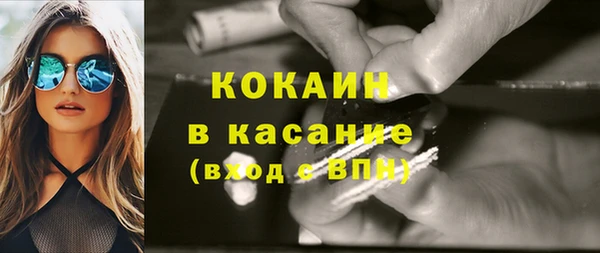 твердый Арсеньев