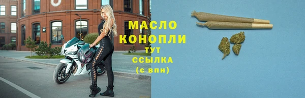 твердый Арсеньев