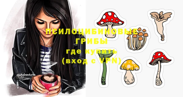 тгк Армянск