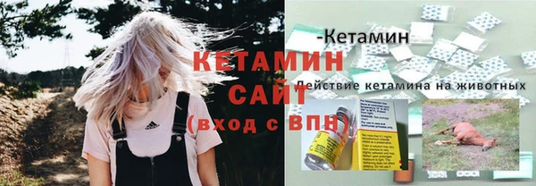 твердый Арсеньев