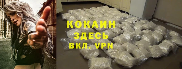 твердый Арсеньев