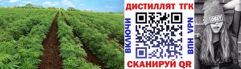 ТГК THC oil Семилуки