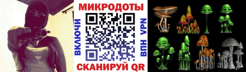 Галлюциногенные грибы Psilocybe  закладка  Семилуки 